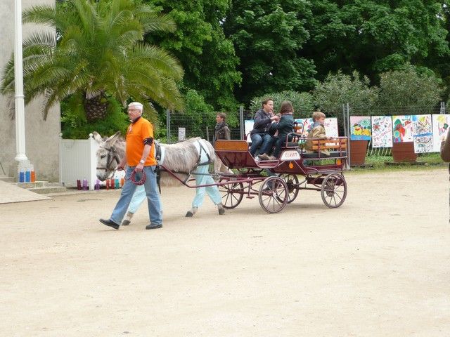 rodho 2013 (86).jpg